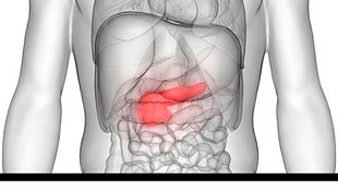 Human Body Organs Anatomy (Pancreas)